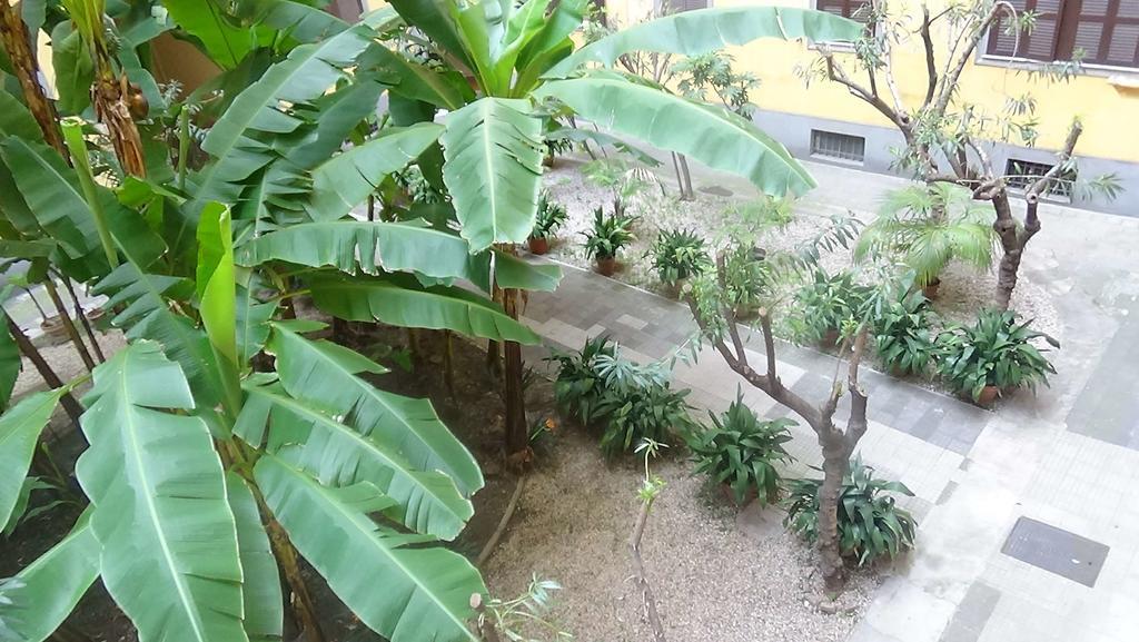 روما Bed And Breakfast Adduci'S House المظهر الخارجي الصورة