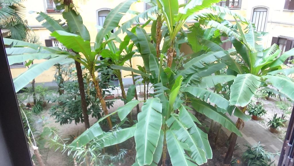 روما Bed And Breakfast Adduci'S House المظهر الخارجي الصورة